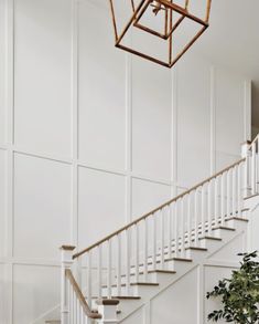 a white staircase with wooden handrails and a potted plant on the floor