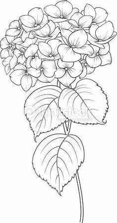 a bouquet of flowers with leaves on a white background coloring book page for adults and children