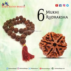 6 Mukhi Rudraksha Boost Energy Levels, Boost Energy, India