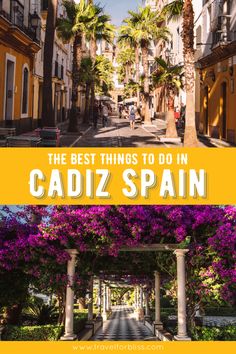 the best things to do in cadiz spain with text overlay that reads, the best things to do in cadiz spain