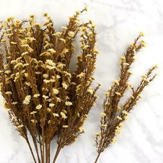 three dried flowers on a marble surface