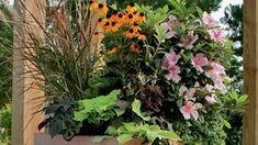 a potted planter filled with lots of flowers