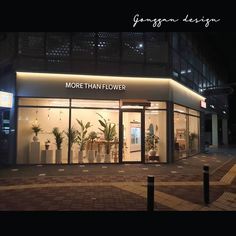 a store front at night with plants in the windows