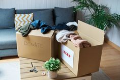 an open cardboard box sitting on top of a wooden floor next to a couch and potted plant