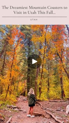 a woman standing in the middle of a forest looking at trees with fall foliage on them