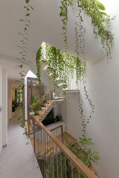 some plants are growing up the side of a building's wall and stair case