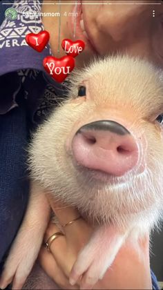 a woman holding a small pig with hearts hanging from it's ears and nose