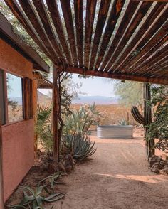 an outdoor covered patio with cacti and succulents