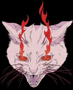 a white cat with red flames on its head