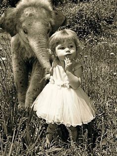 I love elephants. Baby elephants. Baby Elephant Pictures, Elephant Pictures, Jolie Photo, E Card, 귀여운 동물