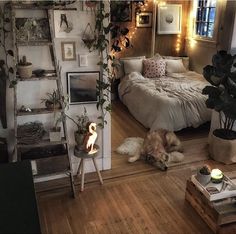 a dog laying on the floor next to a bed in a room filled with plants