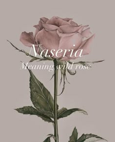 a pink rose with the words nasseria meaning wild rose on it's side