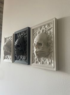 three skulls are mounted on the wall next to each other, one is white and one is black