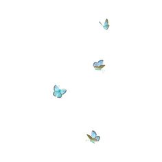 three blue butterflies flying in the sky on a white background with no one around them