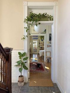 the hallway is clean and ready for us to use as an entrance way into the house