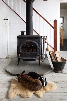 two dogs laying on the floor in front of an open fire place with a dog bed next to it