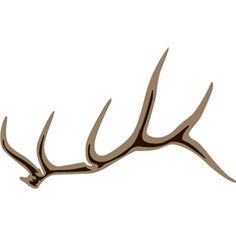 a deer's antlers are shown in brown and white on a white background