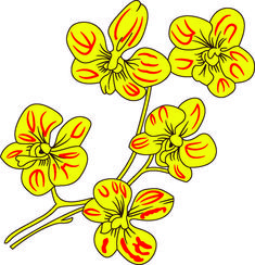 three yellow flowers with red stripes on the petals are shown in this drawing, it looks like they have been drawn by hand