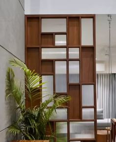 a living room filled with lots of furniture and plants