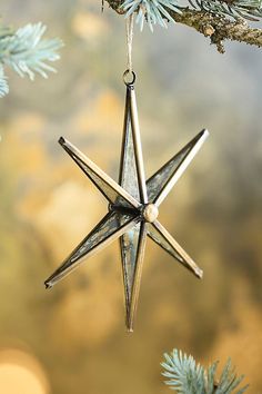 a star ornament hanging from a tree branch