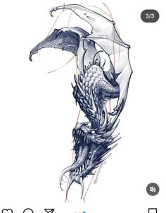 a drawing of a dragon with wings on it's back