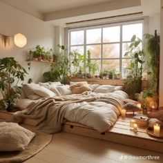 a bedroom with lots of plants in the window sill and lights on the wall