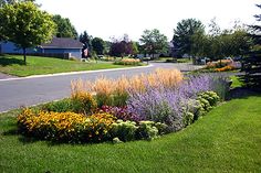 a flower bed in the middle of a lawn next to a street and houses with trees on both sides