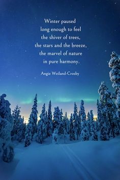 the sky and trees are covered in snow, with a quote written on it that reads