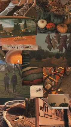 autumn lockscreen; collage; wallpaper Western Wallpaper Iphone, Fall Mood Board, Cute Fall Wallpaper, Iphone Wallpaper Fall, Fall Background, Fall Feels, Autumn Cozy, Autumn Aesthetic, Fall Wallpaper