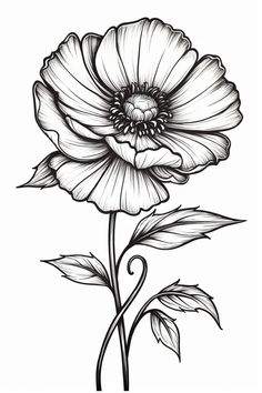 Line Drawing Flowers, Simple Line Drawing, Landscape Pencil Drawings, Pencil Drawings Of Flowers, Wall Art Illustration, Flowers Wild, Wall Art Personalized, Drawing Flowers, Flowers Wall Art