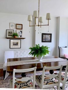 a dining room table with chairs and a potted plant on top of the table