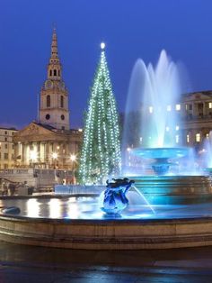 a christmas tree is lit up in front of a fountain