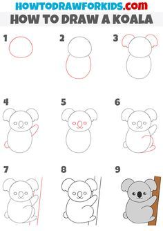 how to draw a koala with step by step instructions for kids and beginners