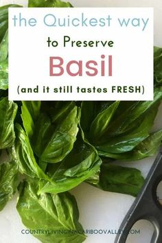 the quickest way to preserve basil and it still tastes fresh