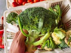 a person holding broccoli in their hand next to some tomatoes and other vegetables