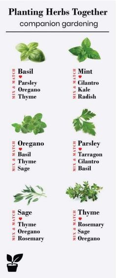 a poster with herbs on it that says planning herbs together