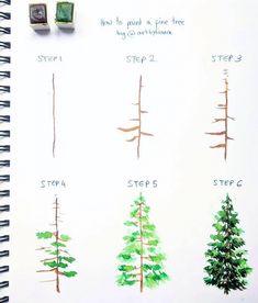 the steps in how to paint a pine tree by using markers and pencils on paper