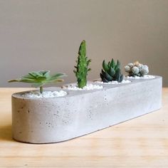 three succulents are in a concrete planter on a wooden table next to a white wall