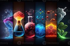 four different types of science glassware with colorful liquid and plants in them, all on black background