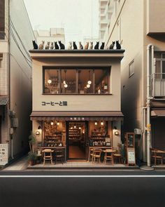 a small building with lots of windows and birds sitting on the top of it's roof