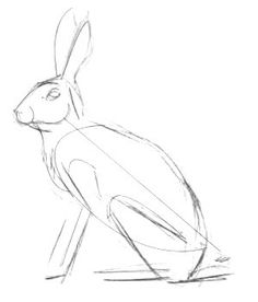 a drawing of a rabbit sitting on the ground with its head turned to the side