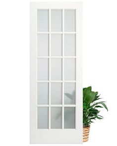 a potted plant sitting next to a white door with glass panels on the side