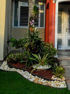 a house with an orange front door and green plants in the garden next to it