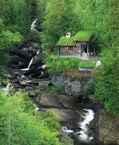 there is a small cabin in the middle of some trees near a river and waterfall