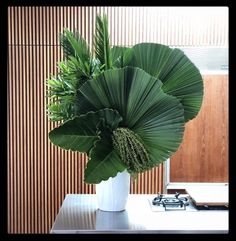 a large green plant in a white vase