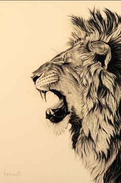 a drawing of a lion with its mouth open