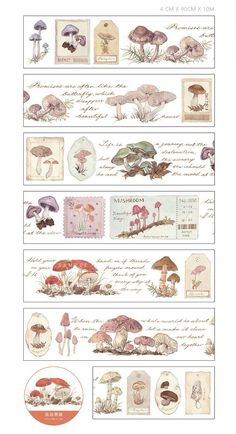 several different types of mushrooms on paper