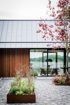 an outdoor area with various plants and flowers in the foreground, next to a wooden building