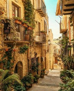 an alleyway with plants and potted plants on either side, in the old city