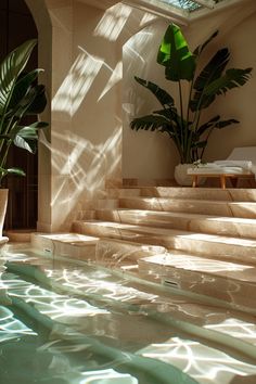 an indoor swimming pool with steps leading up to it and potted plants on the side